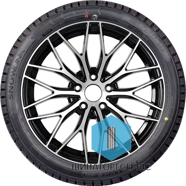 Зимова шина Triangle Snowlink PL01 205/60 R15 95R XL для легкових авто 334739 фото