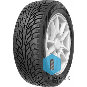 Зимова шина Petlas Glacier W661 205/55 R16 91T для легкових авто 364706 фото